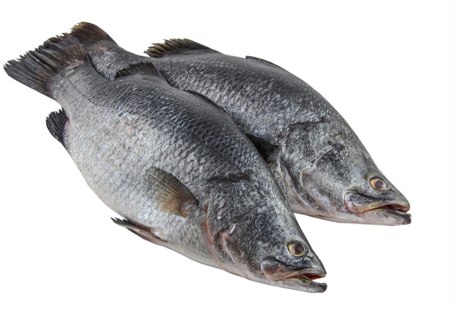 Whole Frozen Barramundi