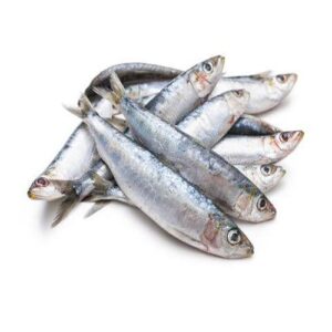 Anchovy Fish