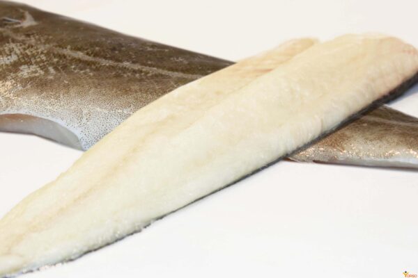 atlantic cod fillet wholesale
