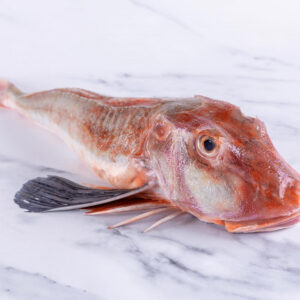 GURNARD