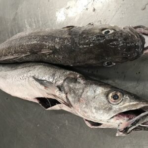 HAKE