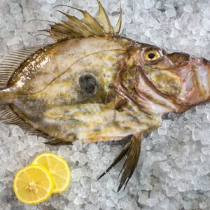 JOHN DORY