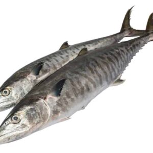 kingfish wholesale