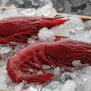 RED PRAWNS