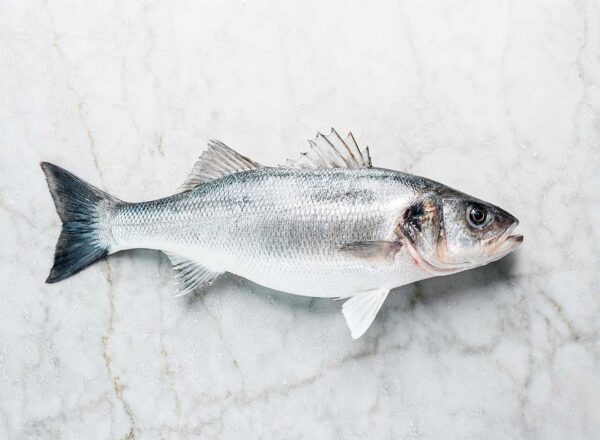 SEABASS