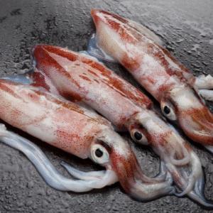 SQUID