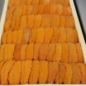 sea urchin wholesale