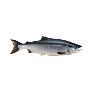 Sockeye salmon wholesale
