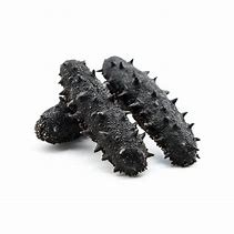 Wholesale Sea Cucumber