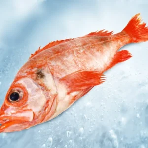REDFISH