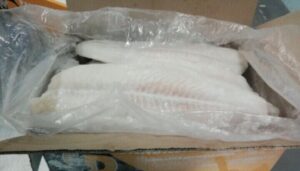 Block frozen fish packed in export cartons