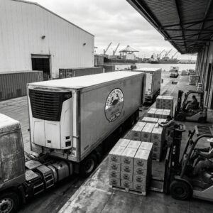 Bulk frozen seafood prepared for international shipment