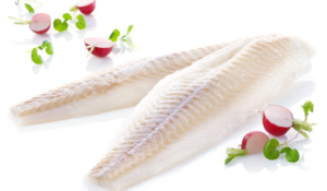 Frozen hake fillets with clean white flesh prepared for export