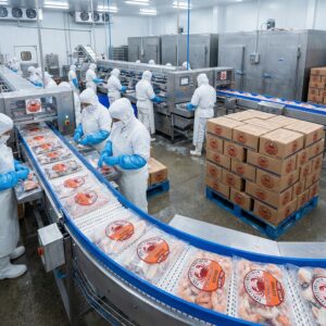 Frozen seafood stored under temperature-controlled conditions for export