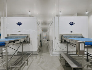 IQF frozen fish compared with block frozen fish formats