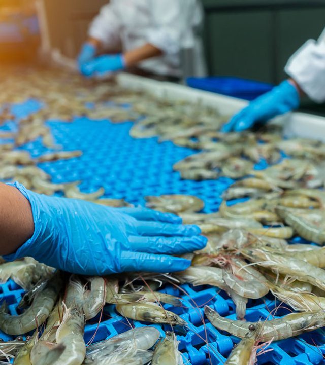 Pesquera Magallanes S.A. | Global Supplier of Premium Fish & Frozen Seafood