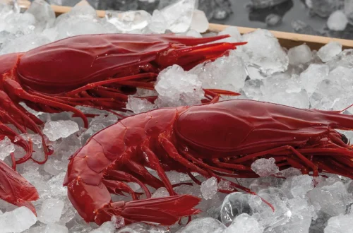 RED-PRAWNS.webp RED-PRAWNS.webp